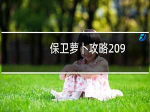 保卫萝卜攻略 9