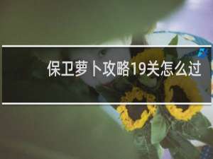 保卫萝卜攻略19关怎么过