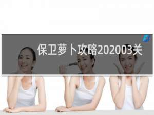 保卫萝卜攻略20 03关