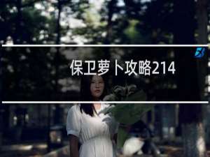 保卫萝卜攻略214
