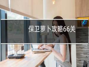 保卫萝卜攻略66关