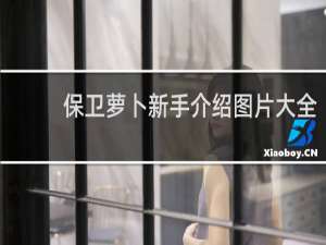 保卫萝卜新手介绍图片大全