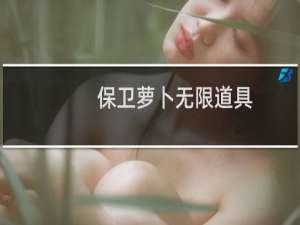 保卫萝卜无限道具