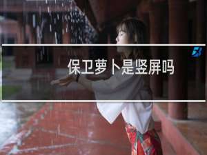 保卫萝卜是竖屏吗