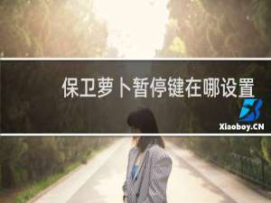 保卫萝卜暂停键在哪设置