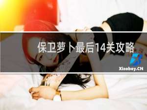 保卫萝卜最后14关攻略