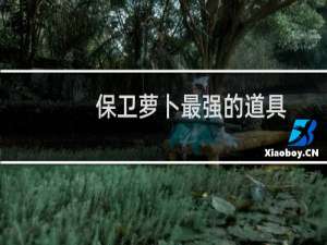 保卫萝卜最强的道具