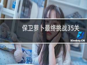 保卫萝卜最终挑战35关
