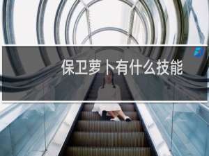 保卫萝卜有什么技能