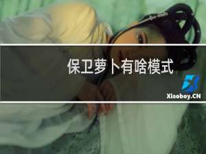 保卫萝卜有啥模式