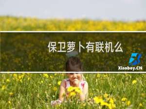 保卫萝卜有联机么