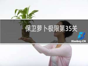 保卫萝卜极限第35关