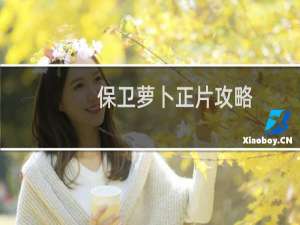 保卫萝卜正片攻略