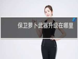 保卫萝卜武器升级在哪里