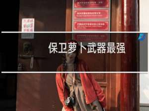 保卫萝卜武器最强