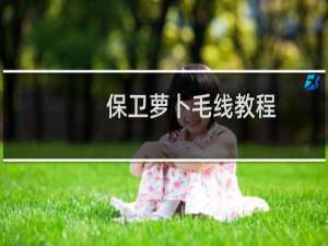 保卫萝卜毛线教程