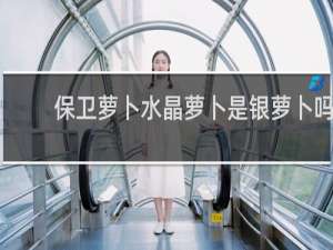 保卫萝卜水晶萝卜是银萝卜吗