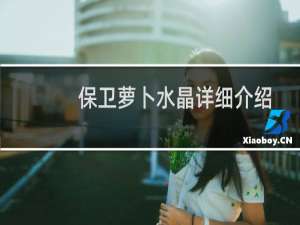 保卫萝卜水晶详细介绍