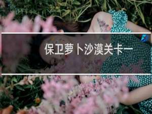 保卫萝卜沙漠关卡一