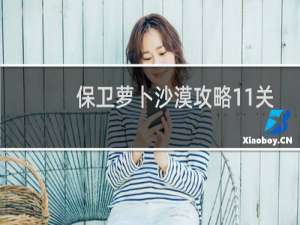 保卫萝卜沙漠攻略11关
