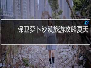 保卫萝卜沙漠旅游攻略夏天