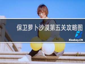 保卫萝卜沙漠第五关攻略图