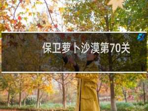 保卫萝卜沙漠第70关