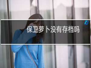 保卫萝卜没有存档吗
