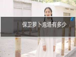 保卫萝卜泡塔有多少