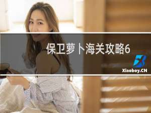 保卫萝卜海关攻略6