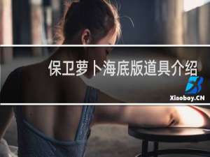 保卫萝卜海底版道具介绍
