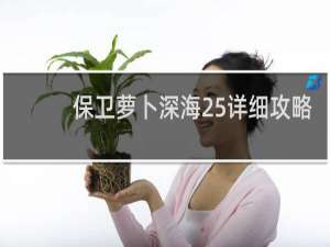 保卫萝卜深海25详细攻略