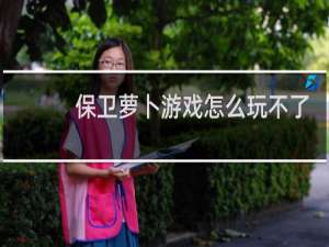 保卫萝卜游戏怎么玩不了