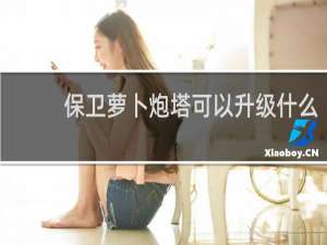 保卫萝卜炮塔可以升级什么