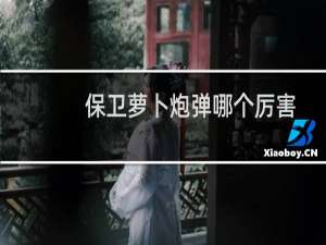 保卫萝卜炮弹哪个厉害