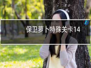 保卫萝卜特殊关卡14