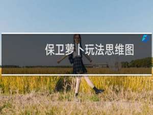 保卫萝卜玩法思维图