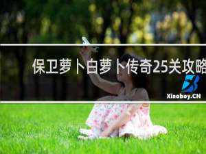 保卫萝卜白萝卜传奇25关攻略