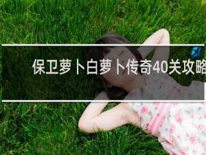 保卫萝卜白萝卜传奇40关攻略