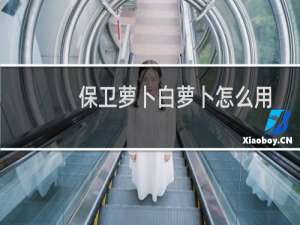 保卫萝卜白萝卜怎么用