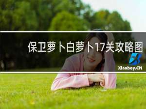 保卫萝卜白萝卜17关攻略图