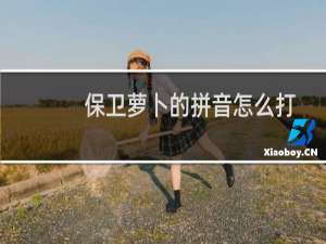 保卫萝卜的拼音怎么打