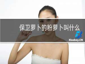 保卫萝卜的粉萝卜叫什么