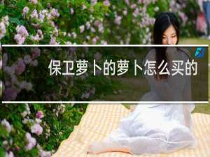 保卫萝卜的萝卜怎么买的