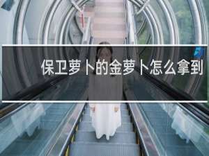 保卫萝卜的金萝卜怎么拿到