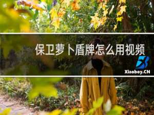 保卫萝卜盾牌怎么用视频