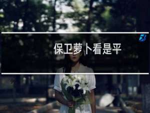 保卫萝卜看是平