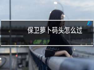 保卫萝卜码头怎么过