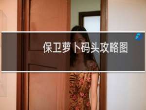 保卫萝卜码头攻略图