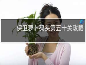 保卫萝卜码头第五十关攻略